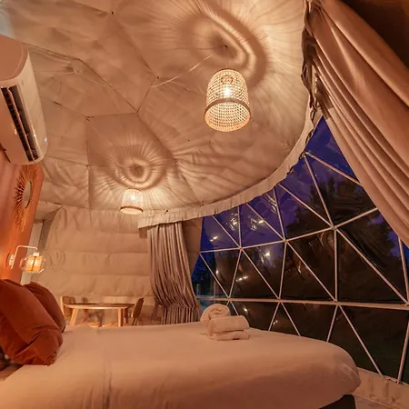 Au Champ De L'insolite * Miers