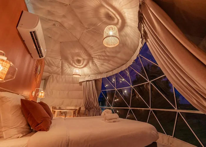 Au Champ De L'insolite * Miers