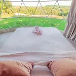 Au Champ De L'insolite *