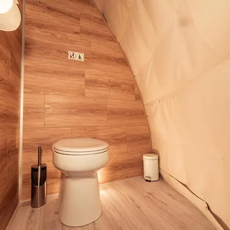 Au Champ De L'insolite *